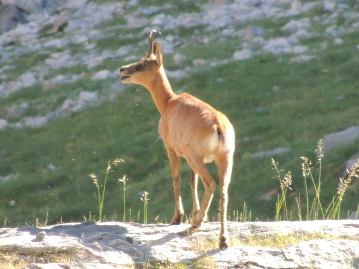 L'Espugue Διαμέρισμα Gèdre Εξωτερικό φωτογραφία